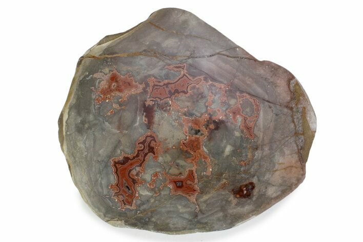 Polished Devil's Red Agate - TeePee Canyon, South Dakota #373398